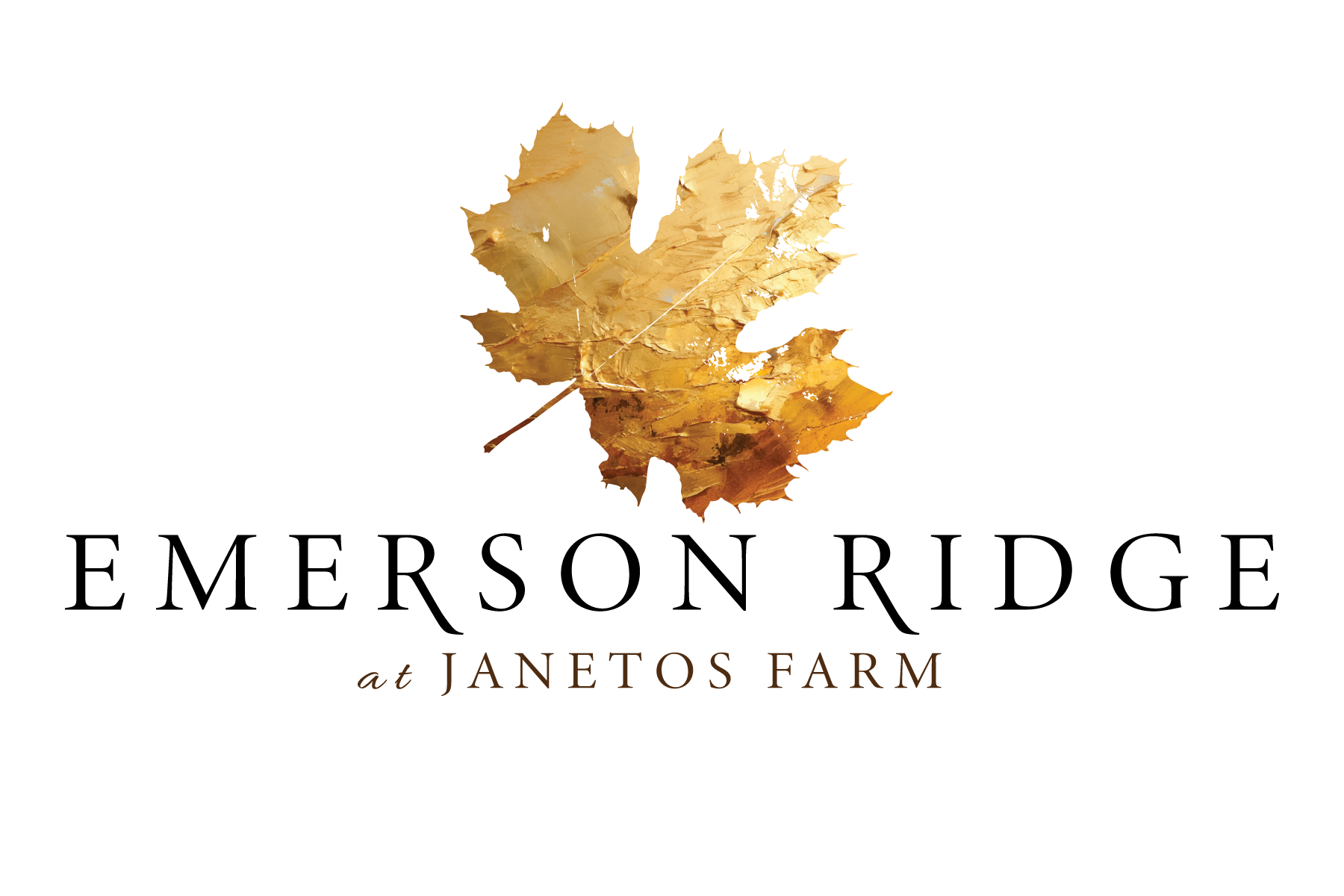 Marissa Drew, REALTOR® - Emerson Ridge at Janetos Farm